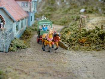 Tiere (1)