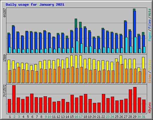 Daily usage for January 2021