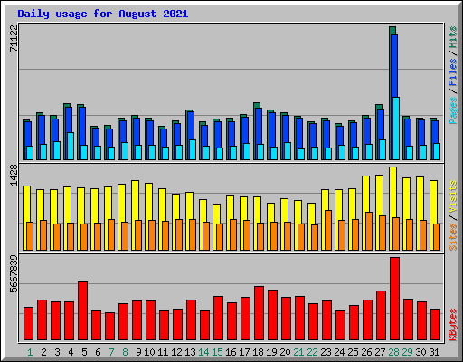 Daily usage for August 2021