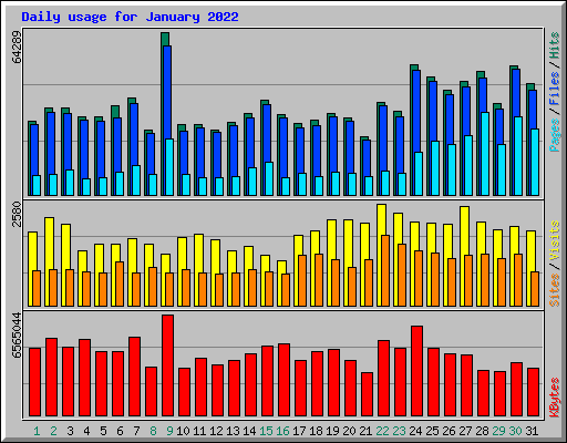 Daily usage for January 2022