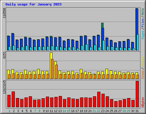 Daily usage for January 2023