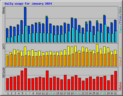 Daily usage for January 2024