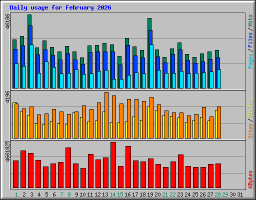 Daily usage for February 2026