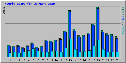 Hourly usage for January 2020