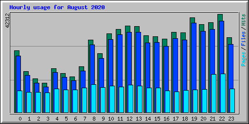 Hourly usage for August 2020