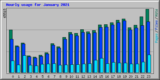 Hourly usage for January 2021