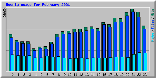Hourly usage for February 2021
