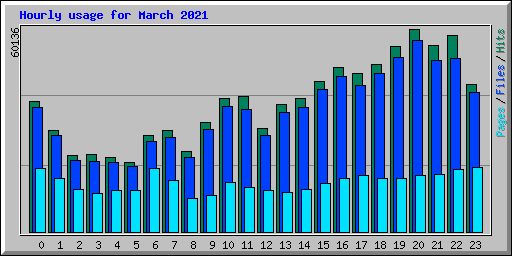 Hourly usage for March 2021