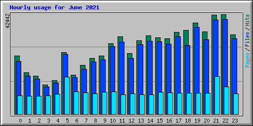 Hourly usage for June 2021