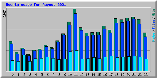 Hourly usage for August 2021