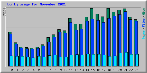 Hourly usage for November 2021