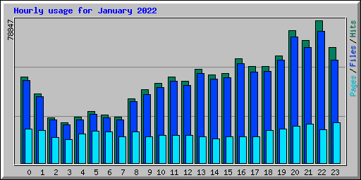 Hourly usage for January 2022