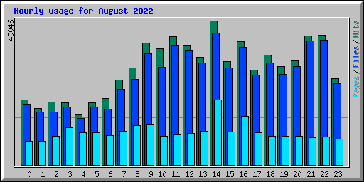 Hourly usage for August 2022