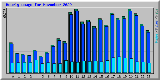 Hourly usage for November 2022
