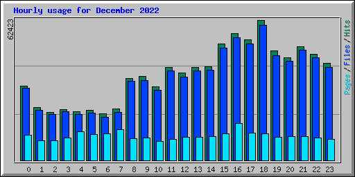 Hourly usage for December 2022