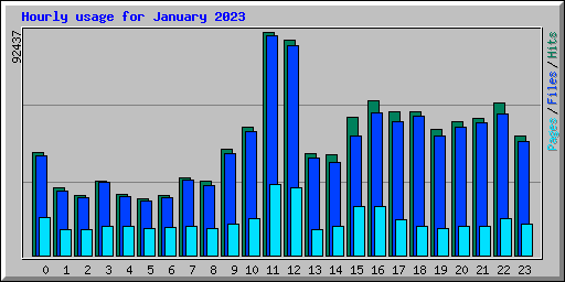 Hourly usage for January 2023