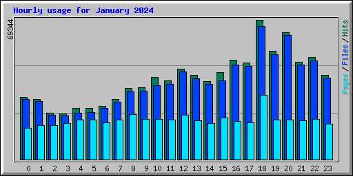 Hourly usage for January 2024