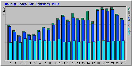Hourly usage for February 2024