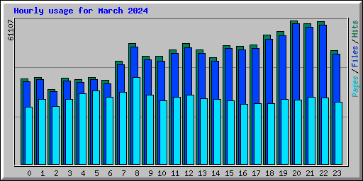 Hourly usage for March 2024