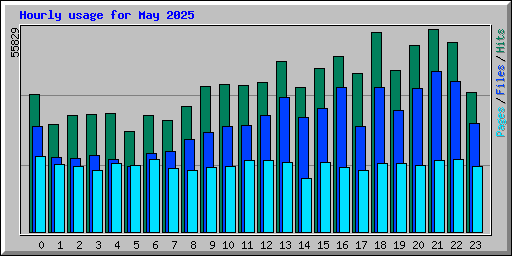Hourly usage for May 2025
