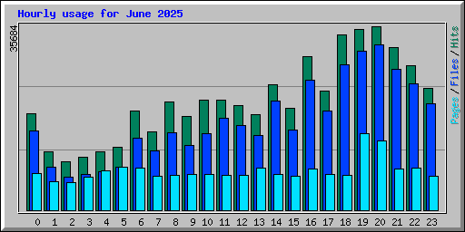 Hourly usage for June 2025