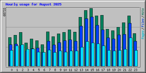 Hourly usage for August 2025