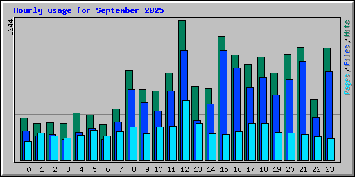 Hourly usage for September 2025