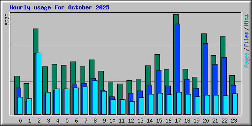 Hourly usage for October 2025