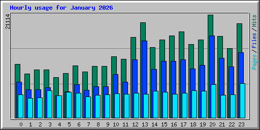 Hourly usage for January 2026