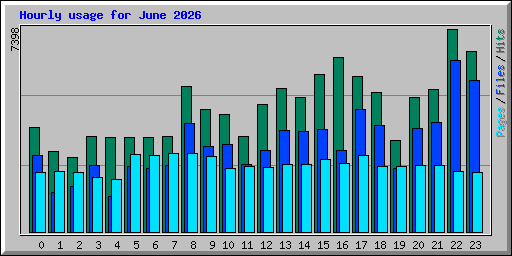 Hourly usage for June 2026