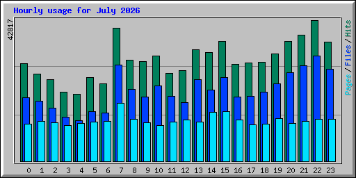 Hourly usage for July 2026