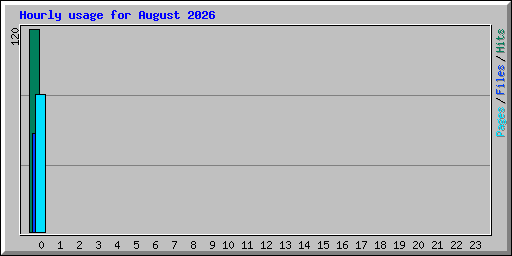 Hourly usage for August 2026